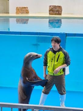 伊豆・三津シーパラダイスに投稿された画像（2024/3/2）