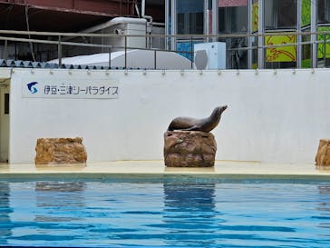 伊豆・三津シーパラダイスに投稿された画像（2024/3/2）