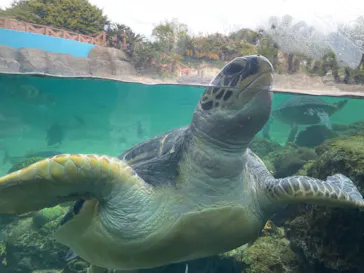 横浜・八景島シーパラダイスに投稿された画像（2024/3/2）