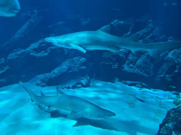 マリンワールド海の中道に投稿された画像（2024/3/2）