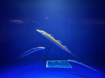 マリンワールド海の中道に投稿された画像（2024/3/2）