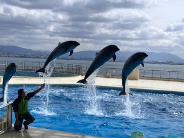 マリンワールド海の中道に投稿された画像（2024/3/2）