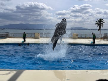 マリンワールド海の中道に投稿された画像（2024/3/2）