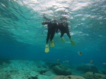 沖縄マリンサービス碧に投稿された画像（2024/3/2）