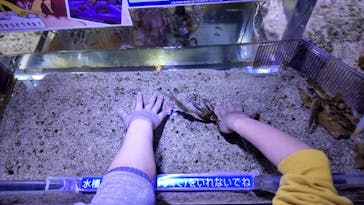 ゼロ距離水族館 伊勢シーパラダイスに投稿された画像（2024/3/2）