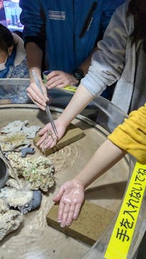 ゼロ距離水族館 伊勢シーパラダイスに投稿された画像（2024/3/2）