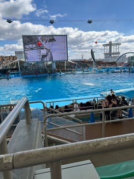 名古屋港水族館に投稿された画像（2024/3/2）