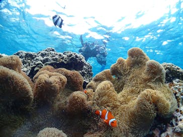 CHAMP TOUR　宮古島に投稿された画像（2024/3/2）