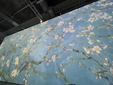 ゴッホ・アライブに投稿された画像（2024/3/2）