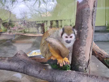 ひらかたパークに投稿された画像（2024/3/2）