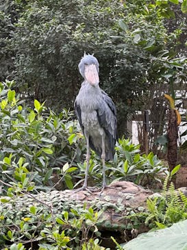 神戸どうぶつ王国に投稿された画像（2024/3/2）