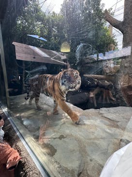 神戸どうぶつ王国に投稿された画像（2024/3/2）