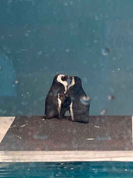 マリンワールド海の中道に投稿された画像（2024/3/2）