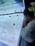すみだ水族館に投稿された画像（2024/3/2）