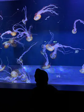 すみだ水族館に投稿された画像（2024/3/2）