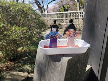 偕楽園本園に投稿された画像（2024/3/2）