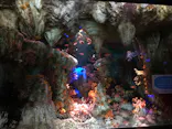 サンシャイン水族館に投稿された画像（2024/3/2）