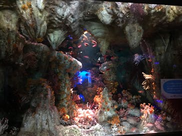 サンシャイン水族館に投稿された画像（2024/3/2）