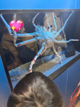 サンシャイン水族館に投稿された画像（2024/3/2）