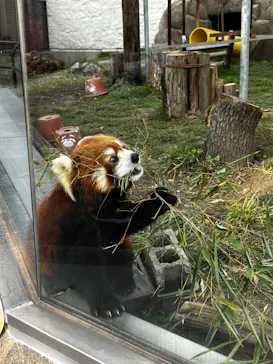 天王寺動物園に投稿された画像（2024/3/2）