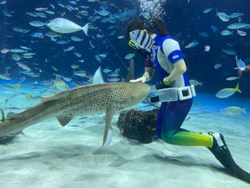 サンシャイン水族館に投稿された画像（2024/3/2）