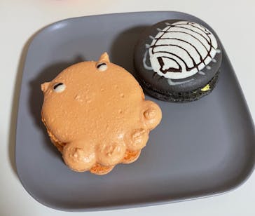 サンシャイン水族館に投稿された画像（2024/3/2）