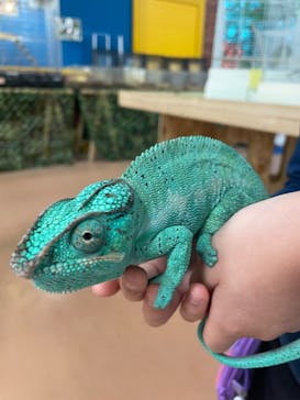 いきもの探検隊上尾に投稿された画像（2024/3/2）