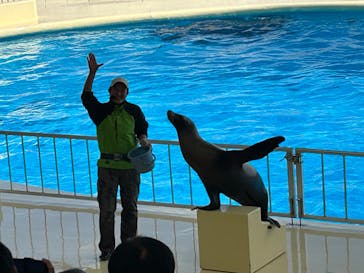 マリンワールド海の中道に投稿された画像（2024/3/2）