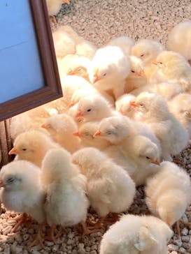 Moff アニマル カフェ イーアス 高尾店に投稿された画像（2024/3/2）