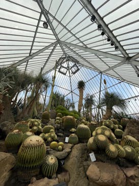 伊豆シャボテン動物公園に投稿された画像（2024/3/2）