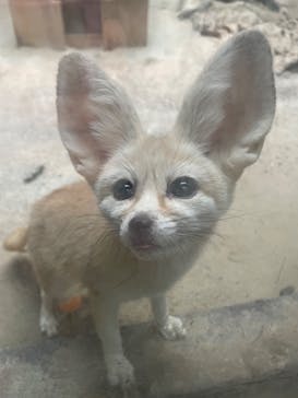 伊豆シャボテン動物公園に投稿された画像（2024/3/2）