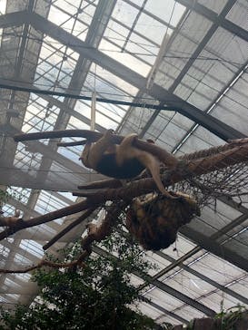 神戸どうぶつ王国に投稿された画像（2024/3/2）