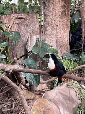 神戸どうぶつ王国に投稿された画像（2024/3/2）