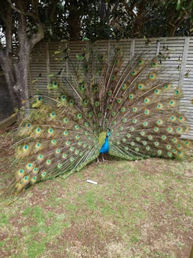 伊豆シャボテン動物公園に投稿された画像（2024/3/2）