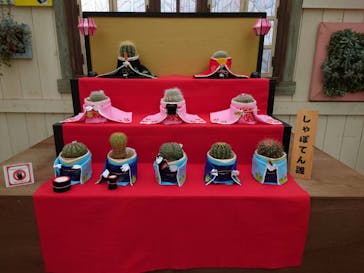 伊豆シャボテン動物公園に投稿された画像（2024/3/2）