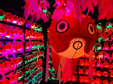 NARA KINGYO MUSEUMに投稿された画像（2024/3/2）