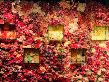 NARA KINGYO MUSEUMに投稿された画像（2024/3/2）