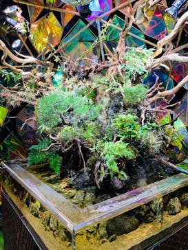 NARA KINGYO MUSEUMに投稿された画像（2024/3/2）