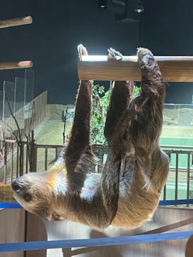 DMMかりゆし水族館に投稿された画像（2024/3/2）