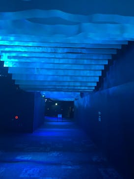 DMMかりゆし水族館に投稿された画像（2024/3/2）