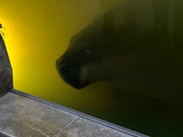 NIFREL（ニフレル）に投稿された画像（2024/3/2）