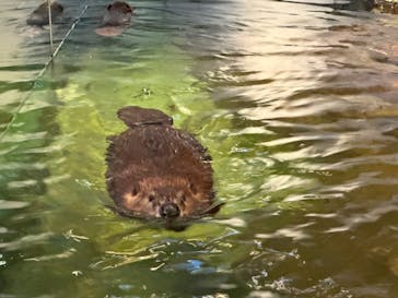 NIFREL（ニフレル）に投稿された画像（2024/3/2）