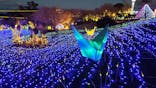 伊豆ぐらんぱる公園に投稿された画像（2024/3/3）