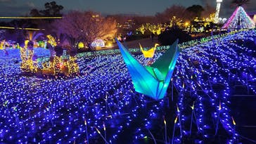 伊豆ぐらんぱる公園に投稿された画像（2024/3/2）