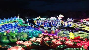 伊豆ぐらんぱる公園に投稿された画像（2024/3/2）