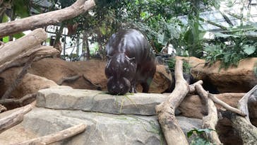 神戸どうぶつ王国に投稿された画像（2024/3/2）