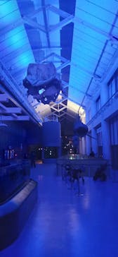 アクアワールド茨城県大洗水族館に投稿された画像（2024/3/2）