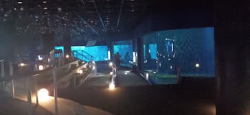 アクアワールド茨城県大洗水族館に投稿された画像（2024/3/2）