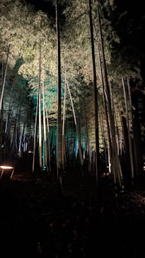 偕楽園本園に投稿された画像（2024/3/2）