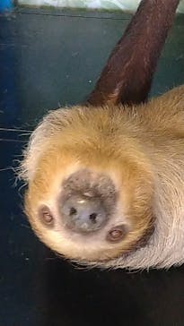 Moff animal world BIGHOPガーデンモール印西店に投稿された画像（2024/3/3）